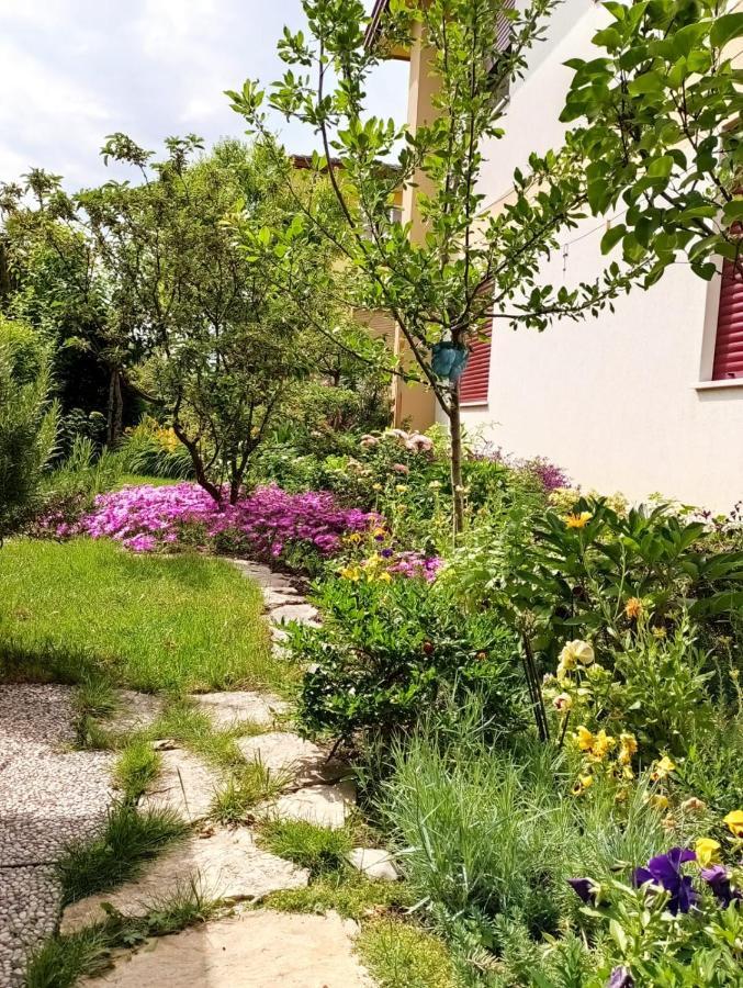 Al Casale B&B Casalserugo Exterior foto